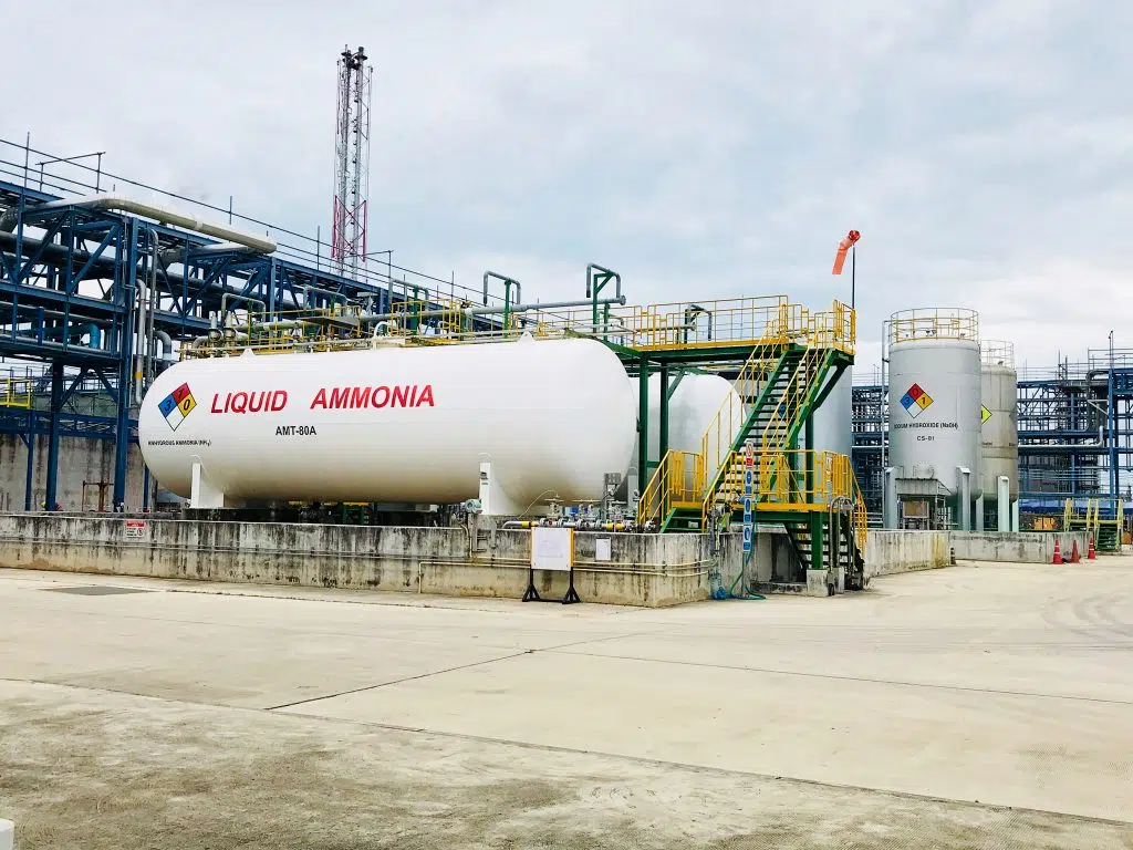 Liquid ammonia storage tank used in food production processes